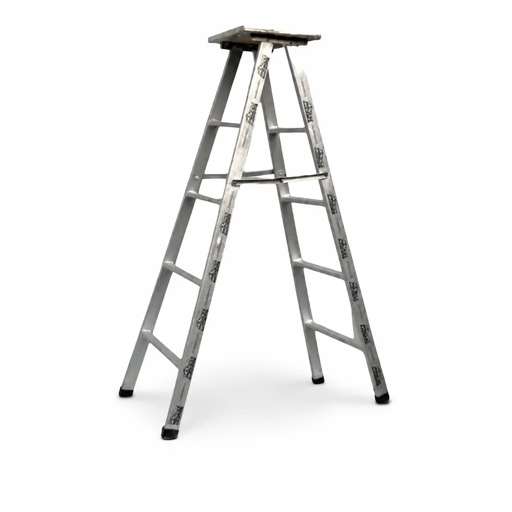 SILVER-COATED HOUSEHOLD LADDER